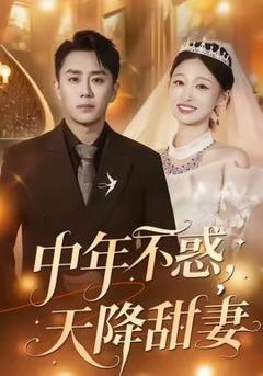 免费在线观看《中年不惑，天降甜妻》