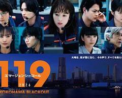免费在线观看《119紧急呼叫2026横滨大停电》
