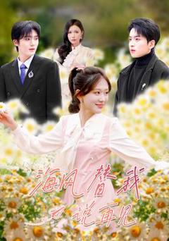 免费在线观看《海风替我说再见》