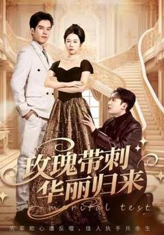 免费在线观看《玫瑰带刺华丽归来》