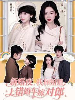 免费在线观看《新婚夜，我和姐姐上错婚车嫁对郎》