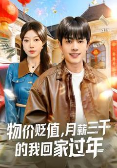 免费在线观看《物价贬值，月薪三千的我回家过年》