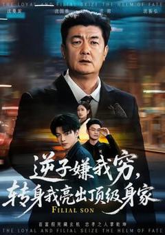 免费在线观看《逆子嫌我穷，转身我亮出顶级身家》