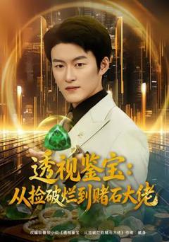 免费在线观看《透视鉴宝：从捡破烂到赌石大佬》
