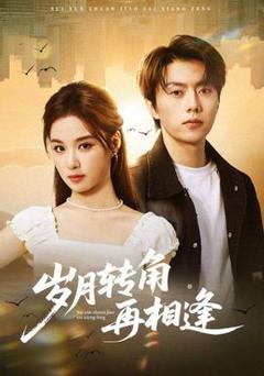 免费在线观看《岁月转角再相逢》