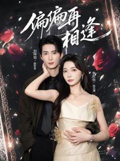 免费在线观看《偏偏再相逢》