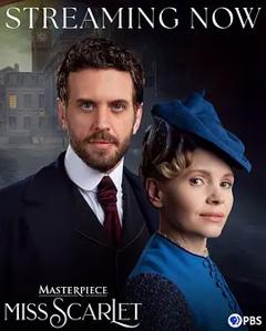 免费在线观看《斯嘉丽小姐探案集第六季》