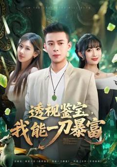 免费在线观看《透视鉴宝，我能一刀暴富》