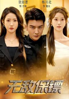 无敌保镖