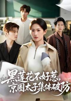 免费在线观看《黑莲花不好惹，京圈太子集体破防》