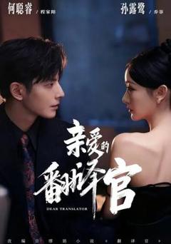 免费在线观看《亲爱的翻译官》