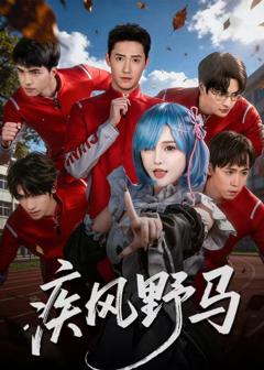 免费在线观看《疾风野马》