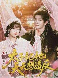 免费在线观看《太子妃她天天想造反》