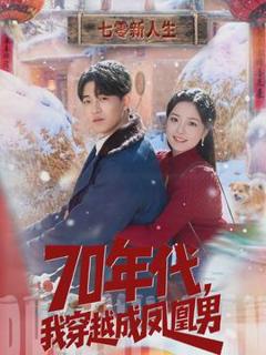 免费在线观看《年代，我穿越成凤凰男》