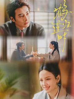 免费在线观看《鹤归瑾时》