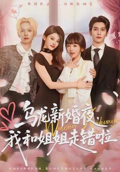 免费在线观看《乌龙新婚夜，我和姐姐走错啦》