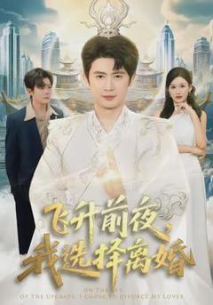 免费在线观看《飞升前夜，我选择离婚》