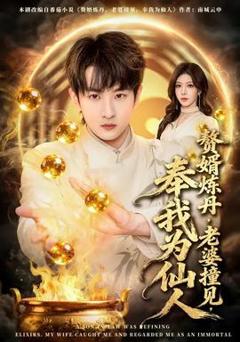 免费在线观看《赘婿炼丹，老婆撞见，奉我为仙人》