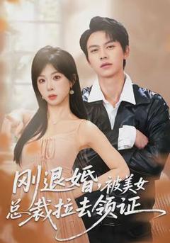 免费在线观看《刚退婚，被美女总裁拉去领证》