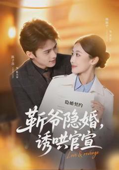免费在线观看《斩爷隐婚，诱哄官宣》