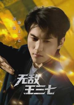 免费在线观看《无敌王三七》