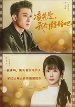 免费在线观看《凌先生，我们结婚吧》