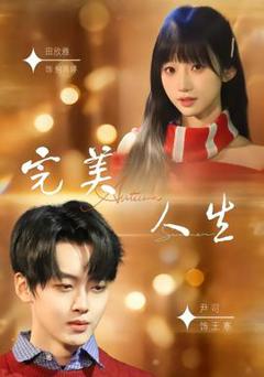 免费在线观看《完美人生2026》