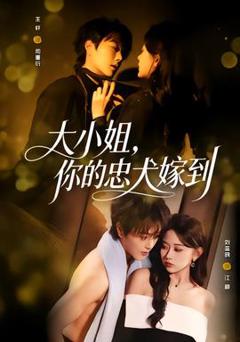 免费在线观看《大小姐，你的忠犬嫁到》