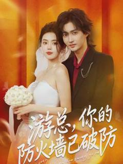 免费在线观看《游总，你的防火墙已破防》