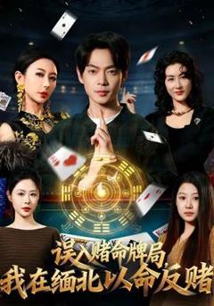 免费在线观看《误入赌命牌局，我在缅北以命反赌》