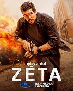 免费在线观看《谍杀风暴》