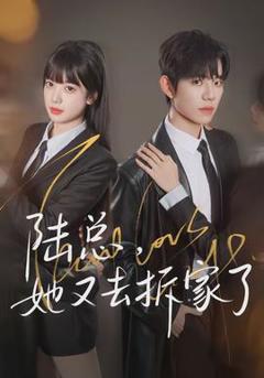 陆总，她又去拆家了