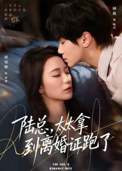 免费在线观看《陆总，太太拿到离婚证跑了》