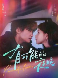 免费在线观看《有可能的夜晚》