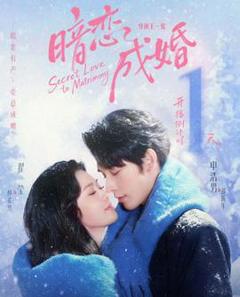 免费在线观看《暗恋成婚》