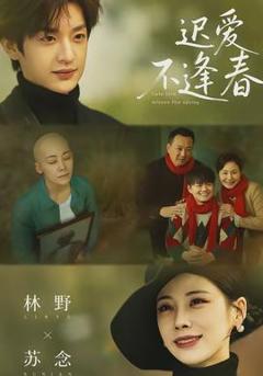 免费在线观看《迟爱不逢春》