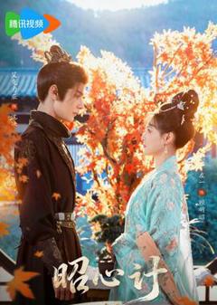 免费在线观看《昭心计》