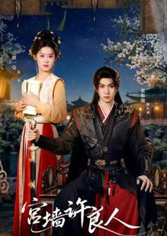 免费在线观看《宫墙许良人》