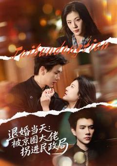 免费在线观看《退婚当天：被京圈大佬拐进民政局》