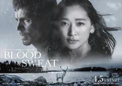 免费在线观看《血与汗》