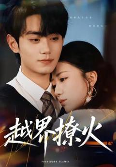 免费在线观看《越界撩火》