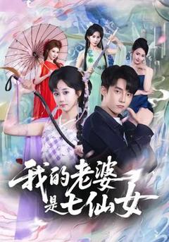 免费在线观看《我的老婆是七仙女》