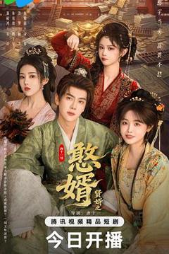 免费在线观看《贤婿之憨婿》