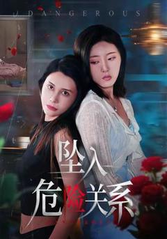 免费在线观看《坠入危险关系》