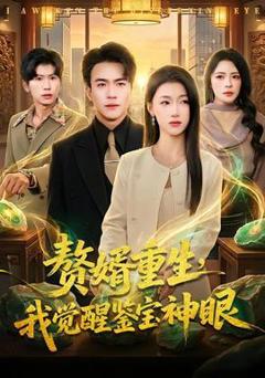 免费在线观看《赘婿重生，我觉醒鉴宝神眼》