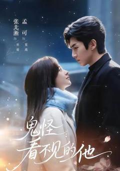免费在线观看《鬼怪：看不见的他》