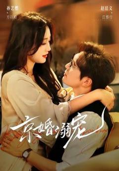 免费在线观看《京婚溺宠》