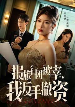 免费在线观看《报旅行团被宰，我反手撤资》