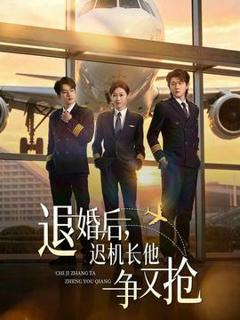 免费在线观看《退婚后，迟机长他争又抢》