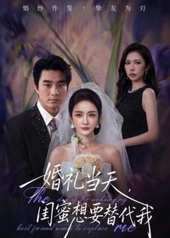 免费在线观看《婚礼当天，闺蜜想要替代我》